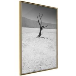 Arkiio Affisch Tree in the Desert [Poster] 20x30 Poster